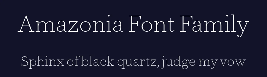 Amazonia Font Family by Ian Party — Serif Font — thumbnail 2