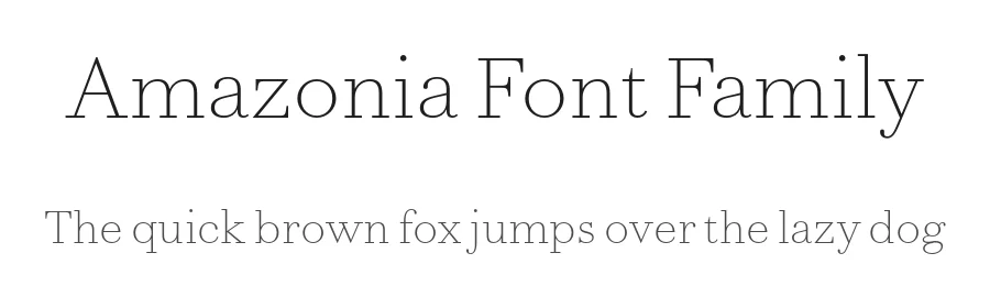 Amazonia Font Family by Ian Party — Serif Font