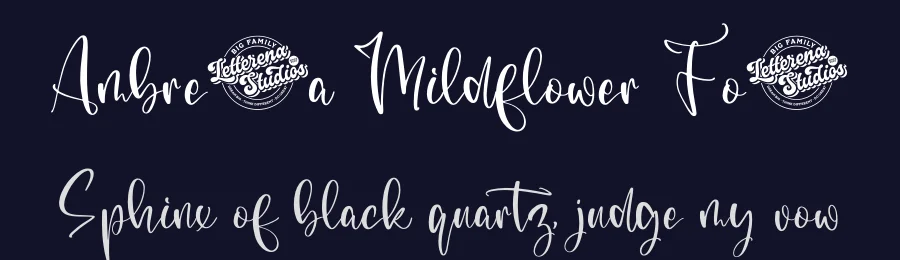 Ambrella Mildflower Font by letterenastudios — Script Handwritten Font — thumbnail 2
