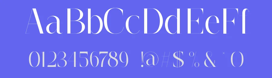 Amegro Font by glyphminds.studios — Serif Font — thumbnail 3