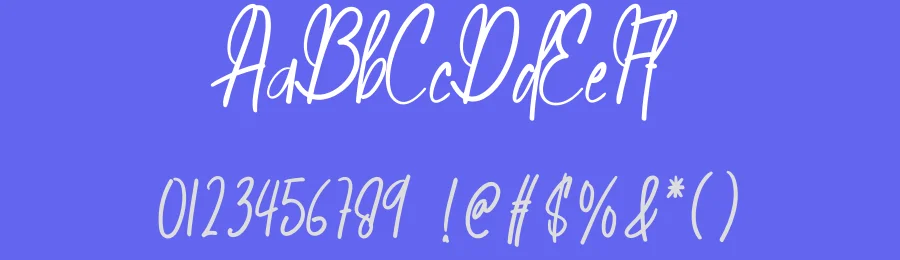 Amelanita Signature Script Font by creativeletter — Script Handwritten Font — thumbnail 3