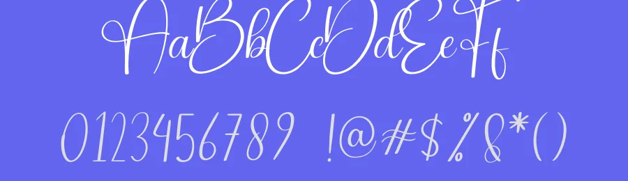 Ameliya Script Font by andikastudio — Script Handwritten Font — thumbnail 3