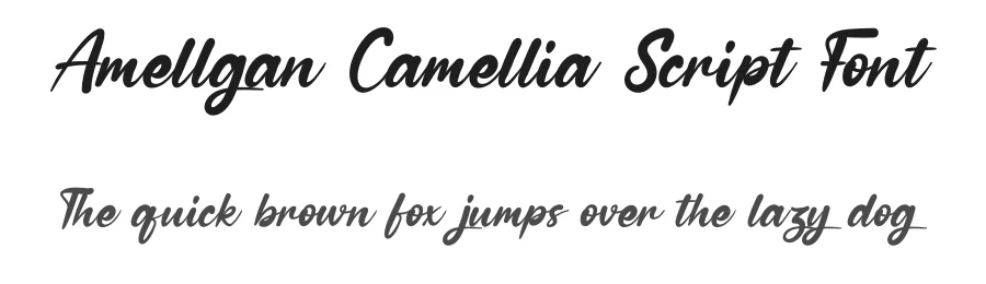 Amellgan Camellia Script Font by andikastudio — Script Handwritten Font