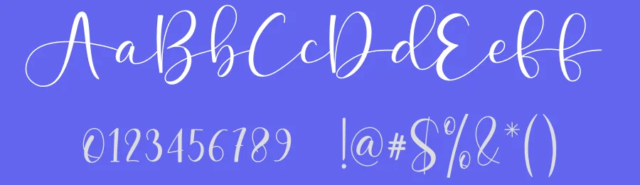 Amellia Bellania Calligraphy Font by creativeletter — Script Handwritten Font — thumbnail 3