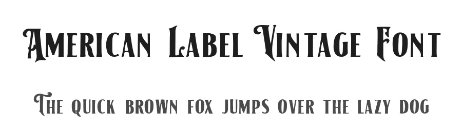American Label Vintage Font by 24Design Studios — Display Font