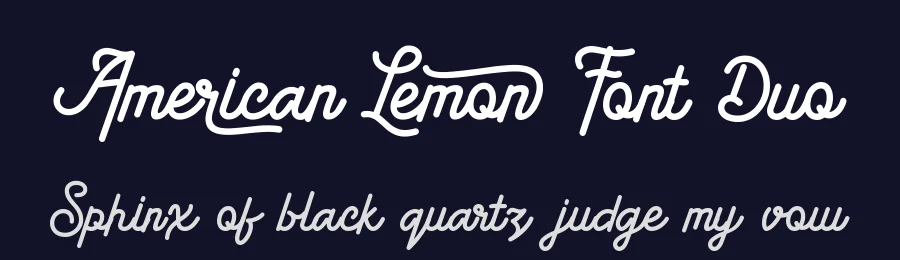American Lemon Font Duo by ErgibiStudio — Script Handwritten Font — thumbnail 2