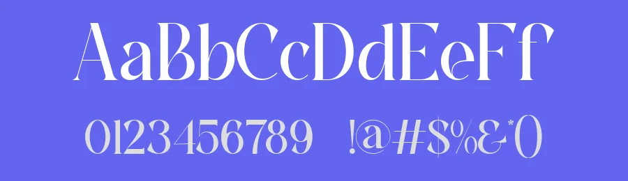 Amesya || Modern Minimalist Serif Font by ErmediaStudio — Display Font — thumbnail 3