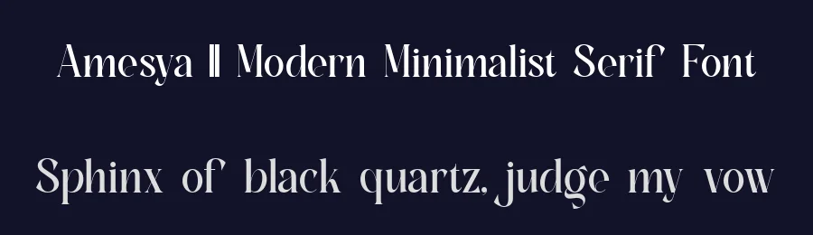 Amesya || Modern Minimalist Serif Font by ErmediaStudio — Display Font — thumbnail 2