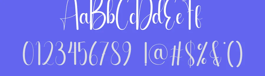 Amfiby Script Font by creativeletter — Script Handwritten Font — thumbnail 3