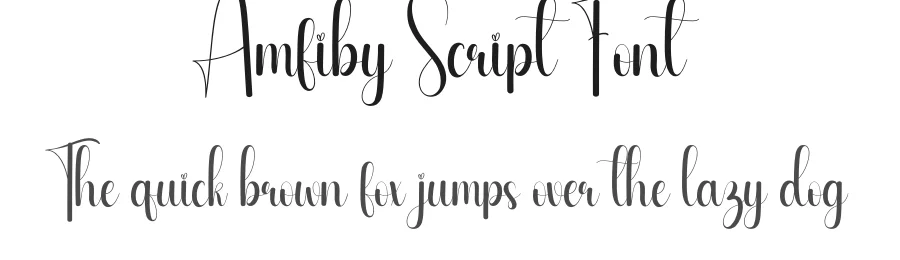 Amfiby Script Font by creativeletter — Script Handwritten Font