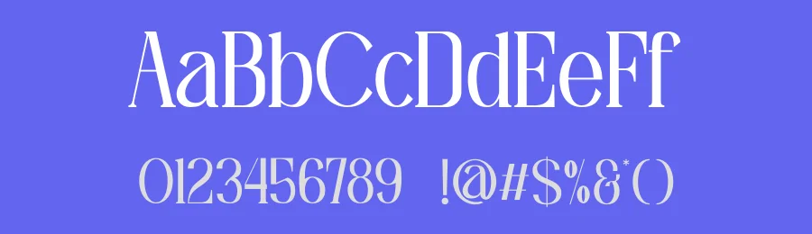 Amilado Font by SlideShoot — Serif Font — thumbnail 3
