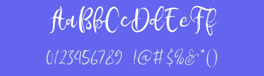 Amonyca Font by Rantautype — Script Handwritten Font — thumbnail 3