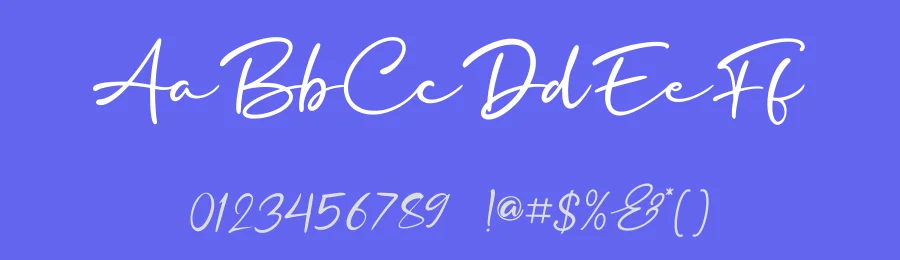 Amorgetwin Font by Basnistudio — Serif Font — thumbnail 3