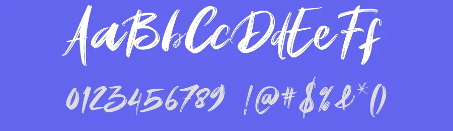 Amstagram Brush Font by vaiminit — Script Handwritten Font — thumbnail 3
