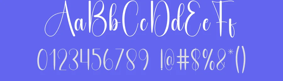 Amsterdam – Authentic Handwritten Style Font by andikastudio — Script Handwritten Font — thumbnail 3
