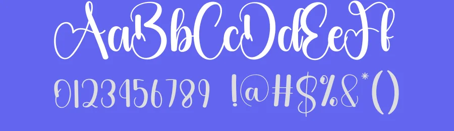 Amsterdam Calligraphy Font by creativeletter — Script Handwritten Font — thumbnail 3