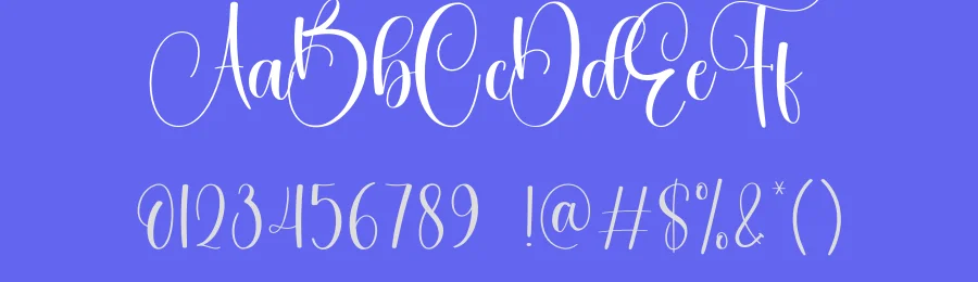 Amsterdam Calligraphy Font by creativeletter — Script Handwritten Font — thumbnail 3