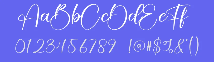 Amsterdam Calligraphy Font by creativeletter — Script Handwritten Font — thumbnail 3