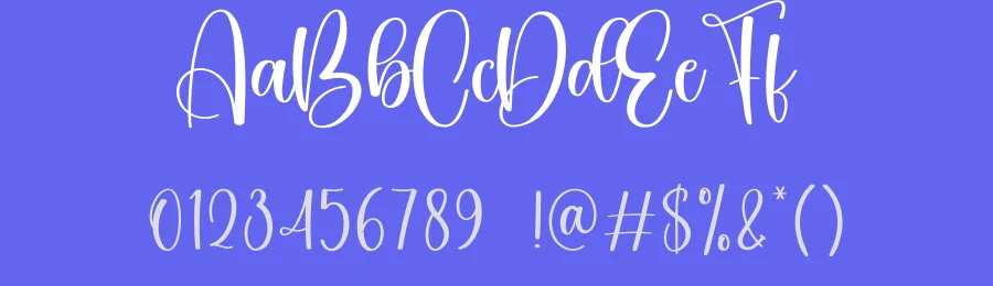 Amsterdam Calligraphy Font by creativeletter — Script Handwritten Font — thumbnail 3