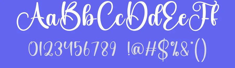 Amsterdam Calligraphy Font by creativeletter — Script Handwritten Font — thumbnail 3