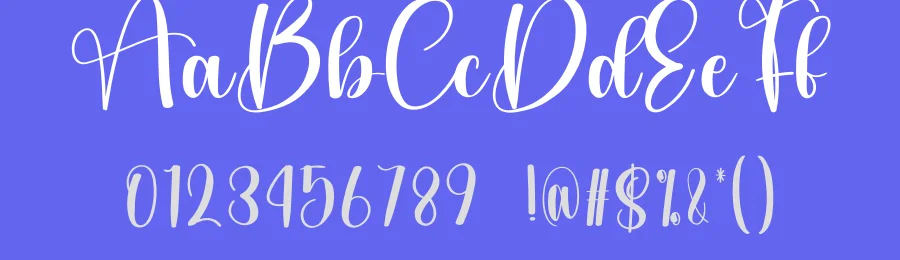 Amsterdam Calligraphy Font by creativeletter — Script Handwritten Font — thumbnail 3
