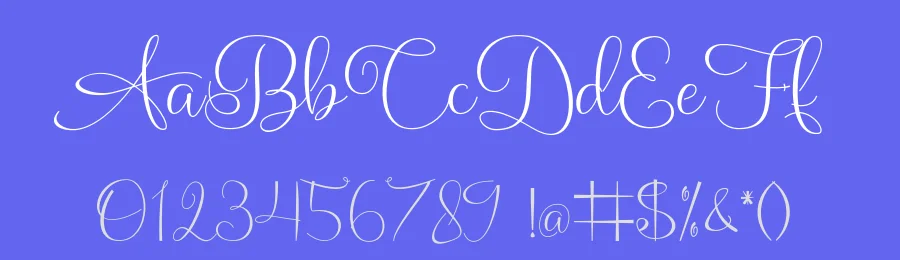 Amsterdam Calligraphy Font by SlexStudio — Script Handwritten Font — thumbnail 3