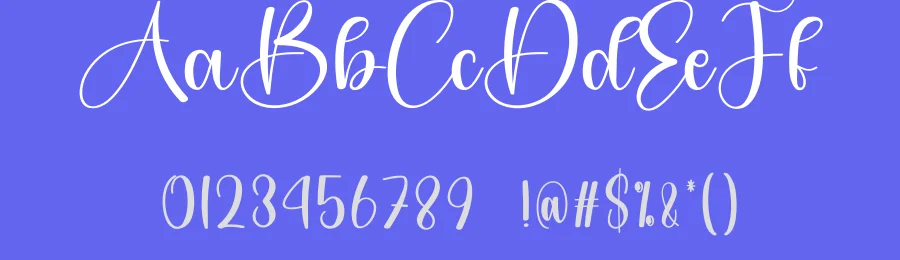 Amsterdam Calligraphy Script Font by creativeletter — Script Handwritten Font — thumbnail 3