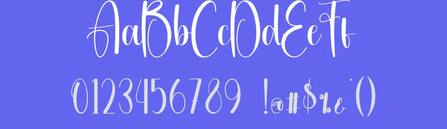Amsterdam Calligraphy Typeface by creativeletter — Script Handwritten Font — thumbnail 3
