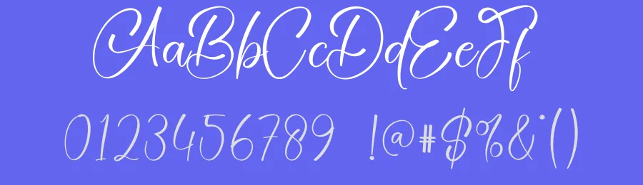 Amsterdam Calligraphy Typeface by creativeletter — Script Handwritten Font — thumbnail 3