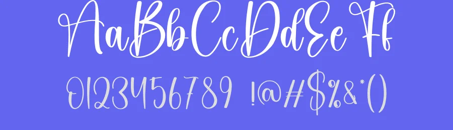 Amsterdam – Creative Handwritten Font by creativeletter — Script Handwritten Font — thumbnail 3