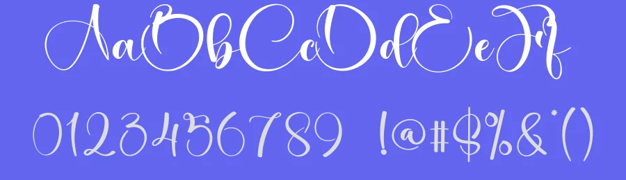Amsterdam – Elegant Handwritten Font by creativeletter — Script Handwritten Font — thumbnail 3
