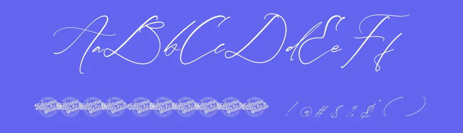 Amsterdam Fieldstar Font by letterenastudios — Script Handwritten Font — thumbnail 3