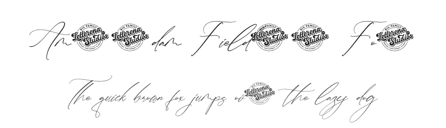 Amsterdam Fieldstar Font by letterenastudios — Script Handwritten Font