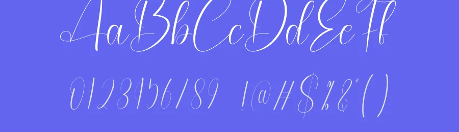 Amsterdam Handwritten Script Font by creativeletter — Script Handwritten Font — thumbnail 3