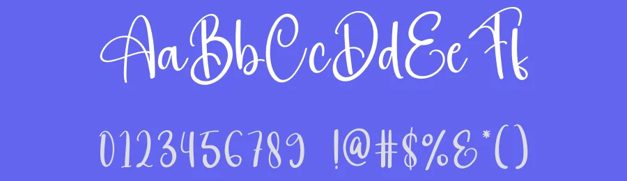 Amsterdam Handwritten Typeface by creativeletter — Script Handwritten Font — thumbnail 3