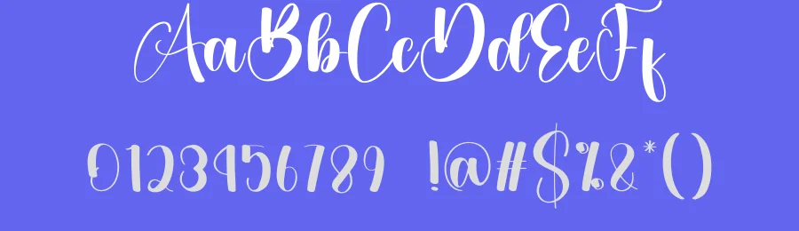 Amsterdam – Modern Handwritten Script Font by creativeletter — Script Handwritten Font — thumbnail 3