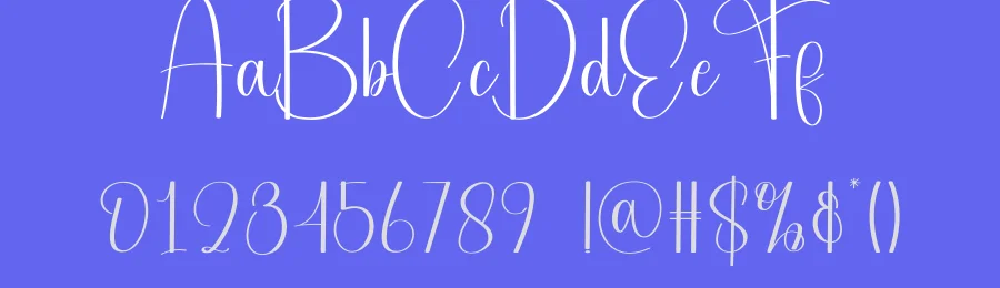 Amsterdam – Modern Script Handwritten Font by andikastudio — Script Handwritten Font — thumbnail 3