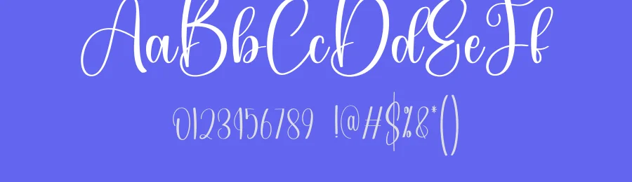 Amsterdam – Natural Script Handwritten Font by creativeletter — Script Handwritten Font — thumbnail 3
