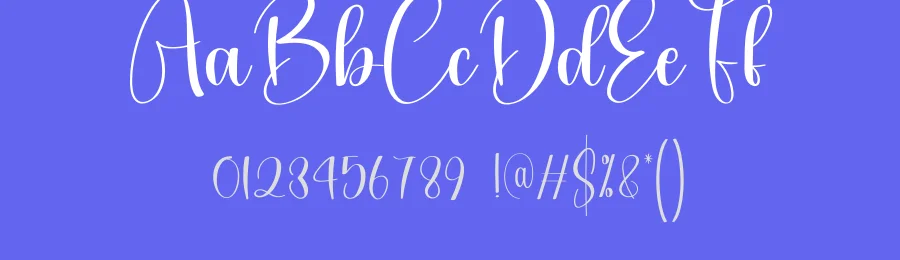 Amsterdam – Natural Script Handwritten Font by creativeletter — Script Handwritten Font — thumbnail 3