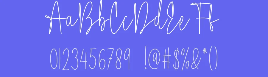 Amsterdam Signature Script Font by creativeletter — Script Handwritten Font — thumbnail 3