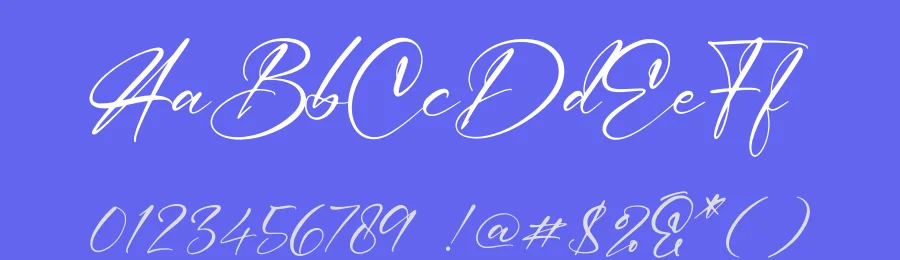 Amsterdam Signature Script Typeface by letterfabric — Script Handwritten Font — thumbnail 3