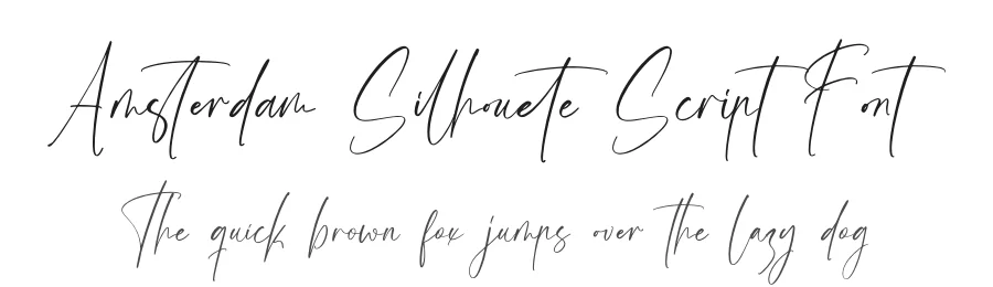 Amsterdam Silhouete Script Font by stylishtype.co — Script Handwritten Font