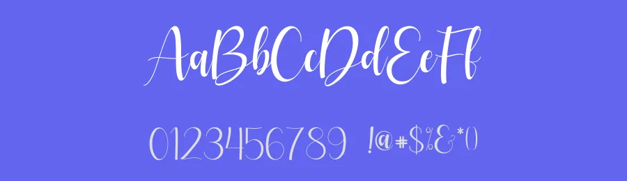 Amsterdune Calligraphy Font by Basnistudio — Script Handwritten Font — thumbnail 3