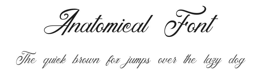 Anatomical Font by Arendxstudio — Script Handwritten Font