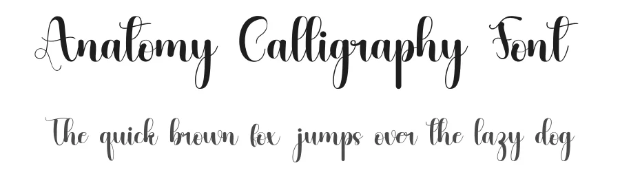 Anatomy Calligraphy Font by inermediaSTUDIO — Script Handwritten Font