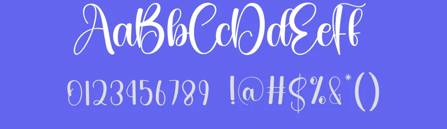 Anatomy Calligraphy Font by creativeletter — Script Handwritten Font — thumbnail 3