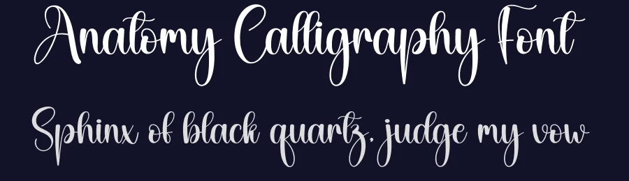Anatomy Calligraphy Font by creativeletter — Script Handwritten Font — thumbnail 2