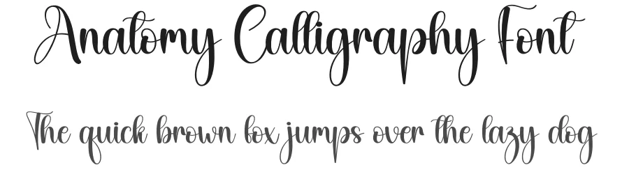 Anatomy Calligraphy Font by creativeletter — Script Handwritten Font