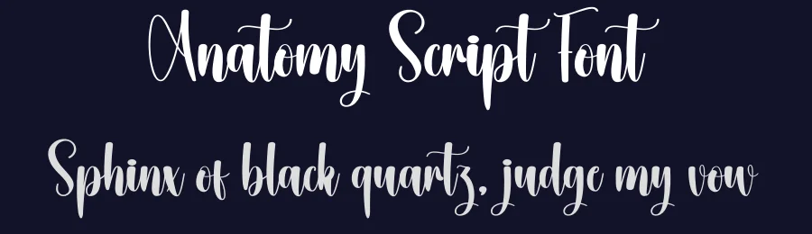 Anatomy Script Font by creativeletter — Script Handwritten Font — thumbnail 2