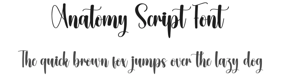 Anatomy Script Font by creativeletter — Script Handwritten Font